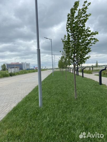 Рулонный газон с укладкой под ключ