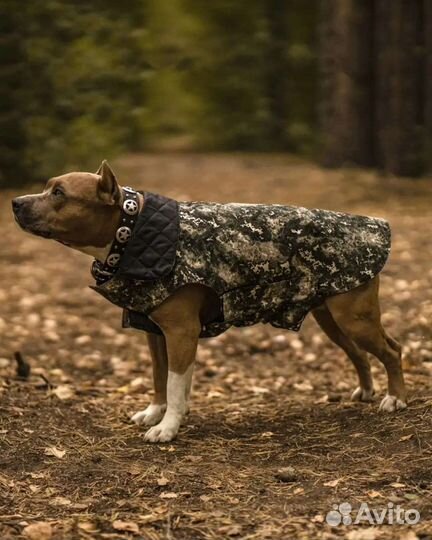 Попона для собак