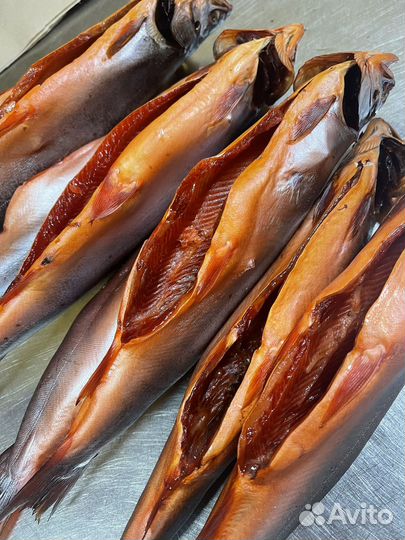 Рыба холодного копчения : Голец потр. тушка