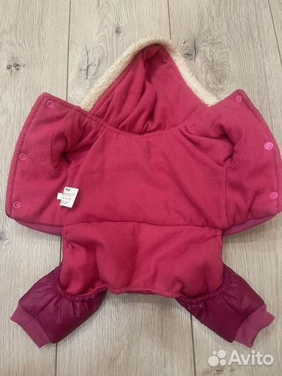 Одежда для собак