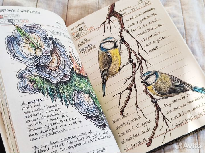 Дневник природы Англия Скетчбук