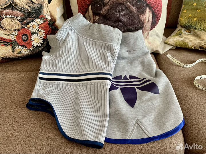 Одежда для собак мопс/ французский бульдог