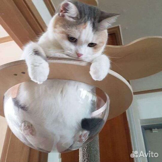 Игровой комплекс для кошек