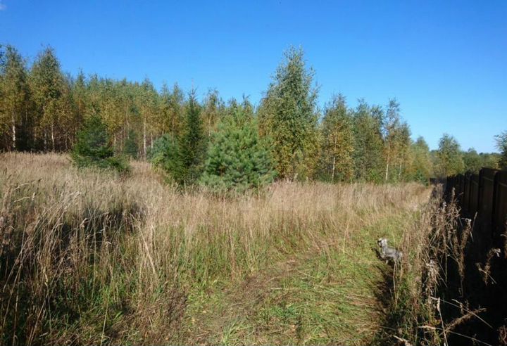 Участок 1,6 га (СНТ, ДНП)