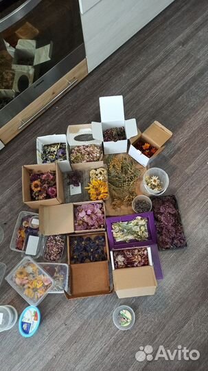 Сухоцветы для творчества