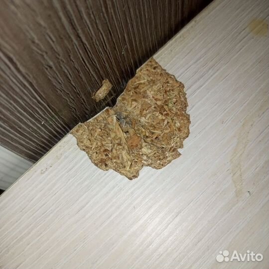 Компьютерный стол бу