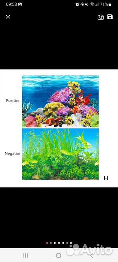 Задний фон для аквариума