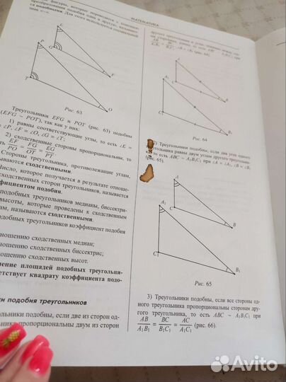 Большой справочник школьника 5-11 классы