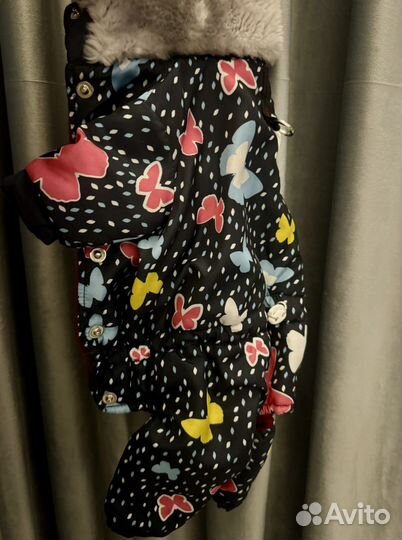 Зимний комбинезон для маленькой собачки