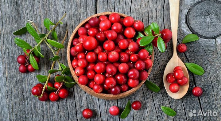 Варенье, ягоды, грибы, мёд, хреновина