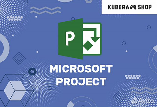 Project 2021 / 2019 / 2016 / 2013 Pro