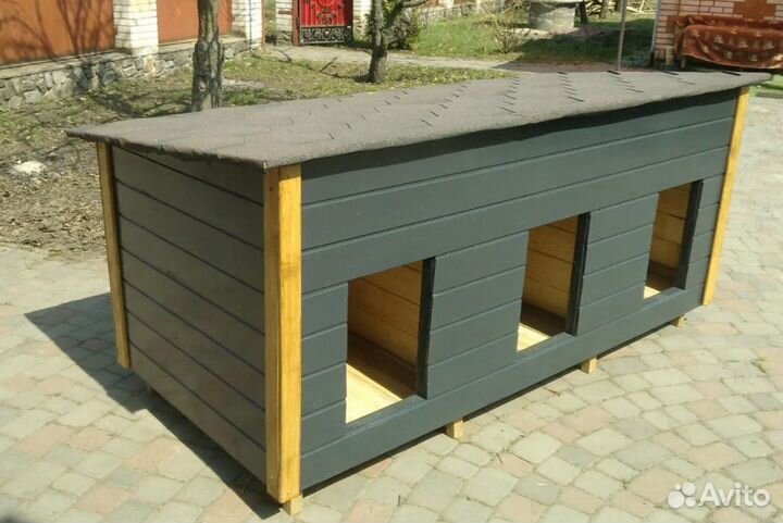 Собачья будка