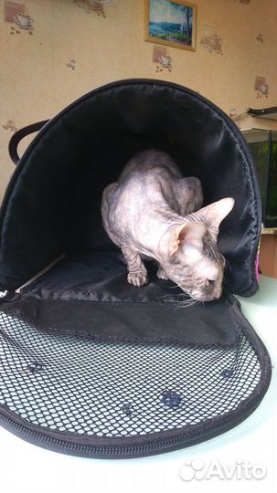 Переноска для кошек