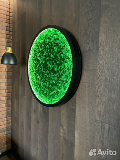 Вывеска из стабилизированного мха