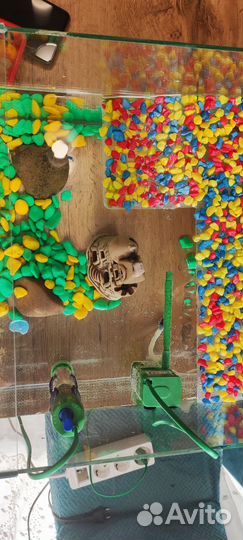 Продам черепашку с аквариумом