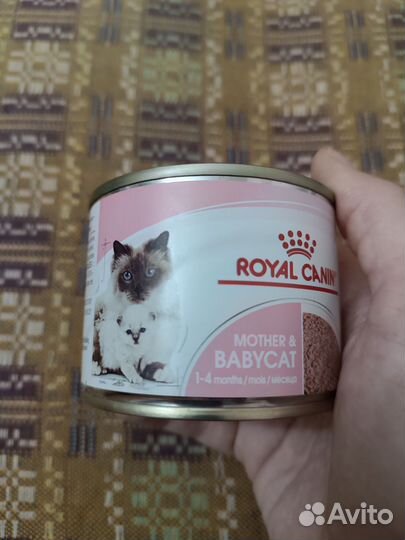 Корм для котят 1-4 месяца royal canin babycat