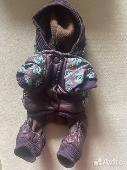 Комбинезон для собаки