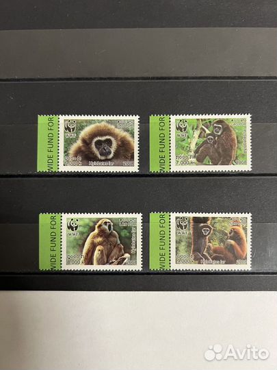 2008 г. Лаос. Фауна