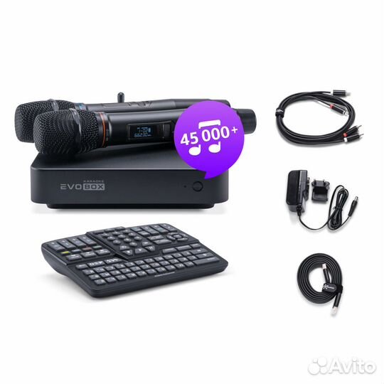 Караоке EvoBox Plus с микрофонами и EvoCase(Новая)