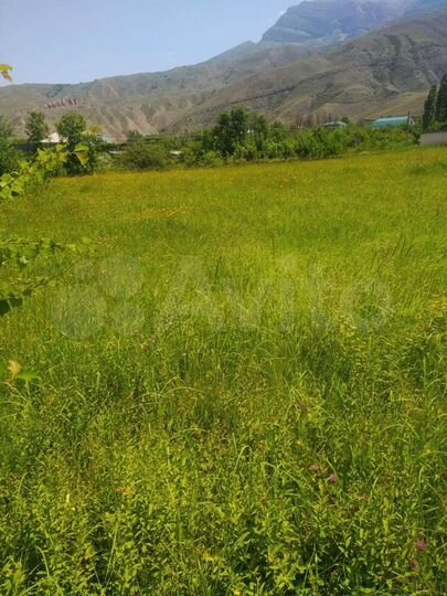 Участок 37 сот. (ИЖС)