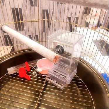 Клетка для попугая большая