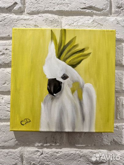 Картина Белый Попугай