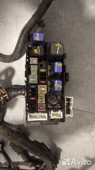 Проводка подкапотная Nissan X-Trail T31 2.0 бенз