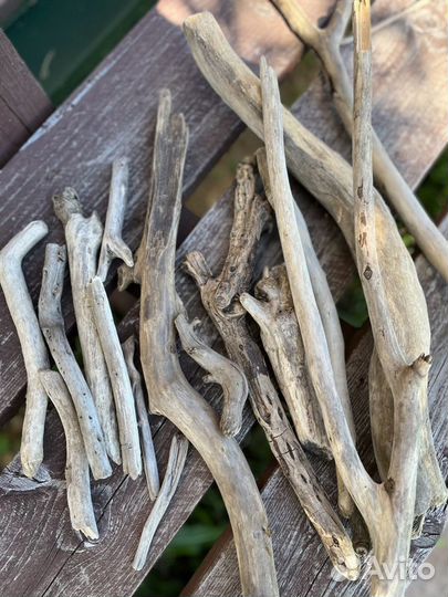 Набор палочек коряг