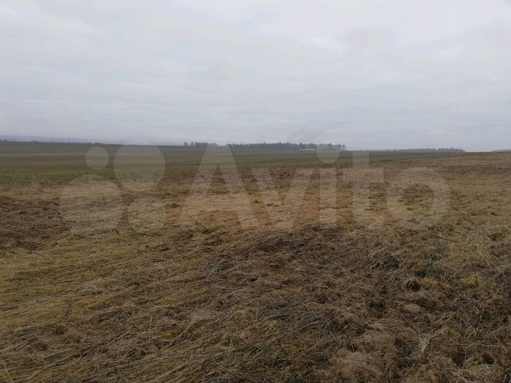 Участок 4,5 га (СНТ, ДНП)
