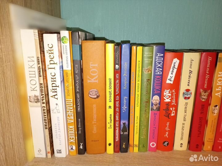 Коллекция редких книг про котов