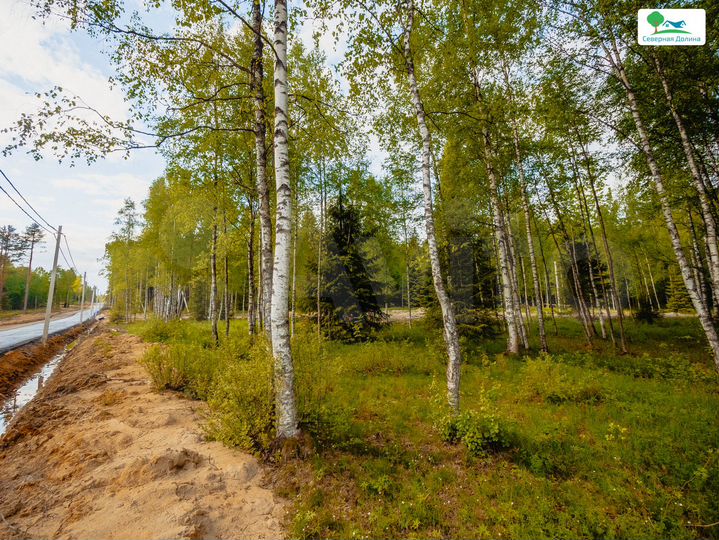 Участок 8,3 сот. (СНТ, ДНП)