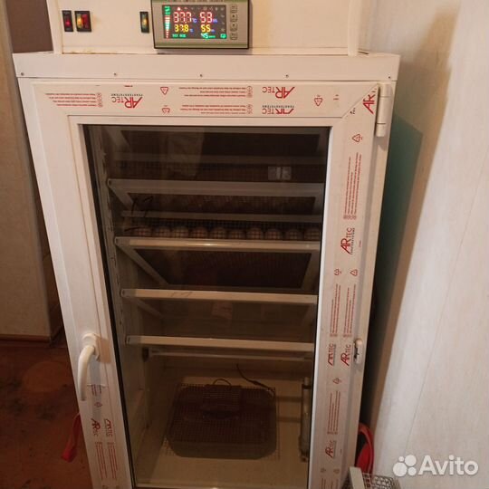 Инкубатор автоматический