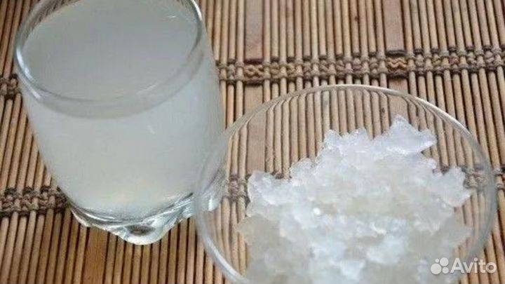 Индийский морской рис / рисовый гриб