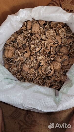 Скорлупа грецкого ореха