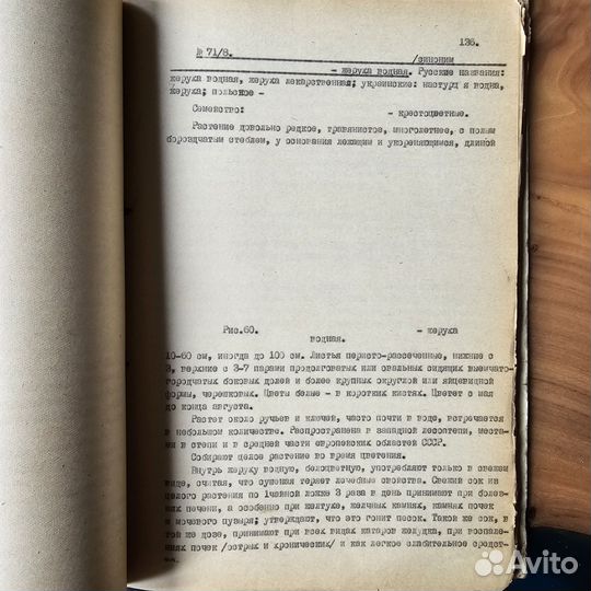 Винтаж: самиздат 1958 г