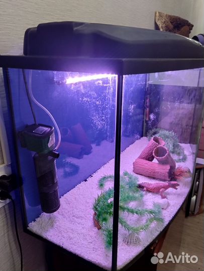 Аквариум Aguael на 180 литров с рыбками