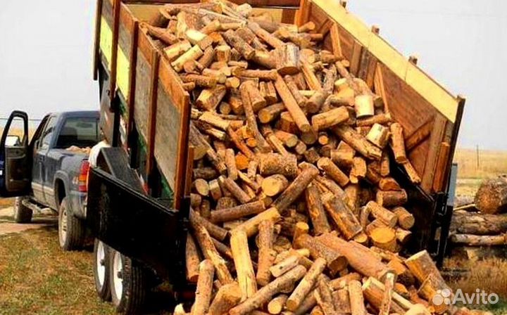 Дрова с Зеленогорска