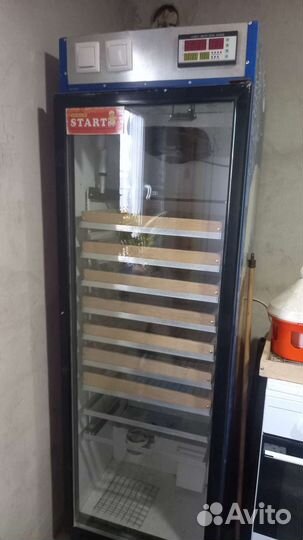 Инкубатор для яиц автоматический бу