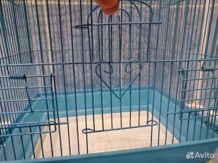 Клетка