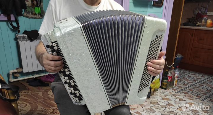 Красавец баян, белоснежный Смотрите Видио