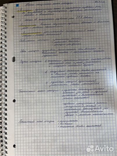 Написание сочинений/конспектов, семинаров