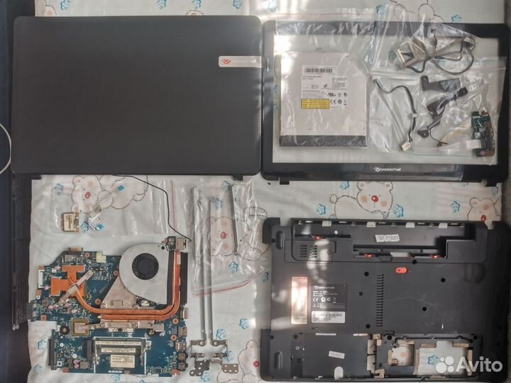Packard Bell P5WS5 разбор