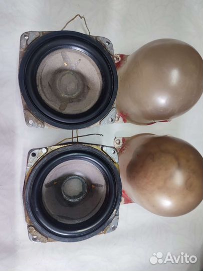 Динимики СССР гдн