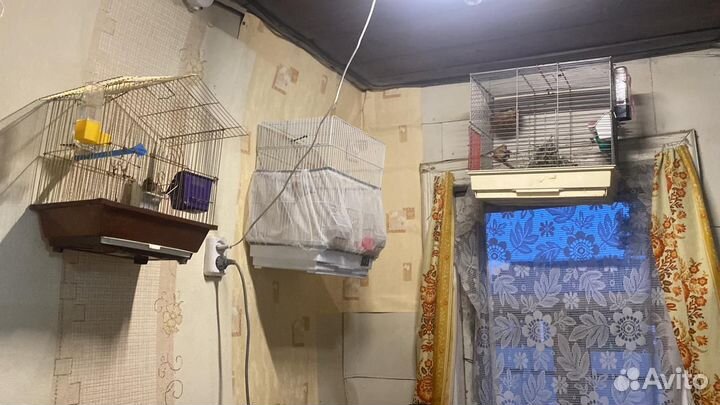 Приют для птиц(экзотических)
