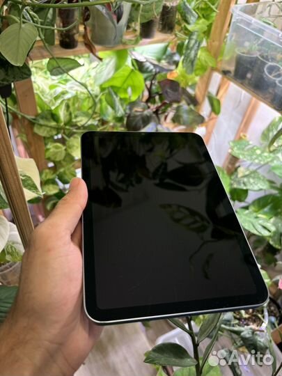 Apple iPad mini 6