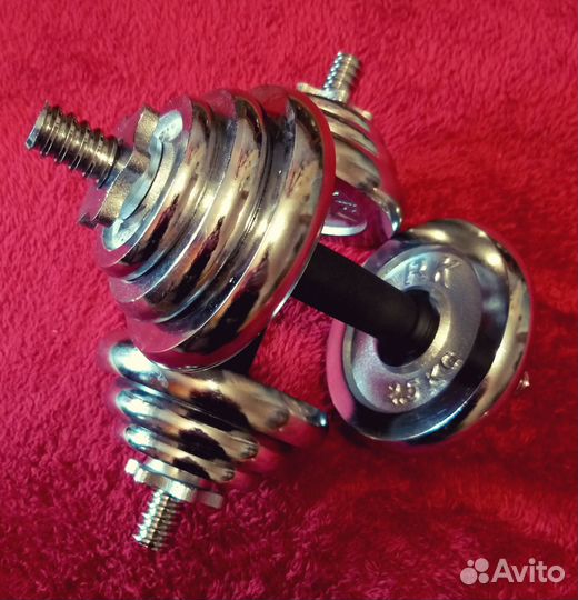 Гантели разборные 20кг в кейсе york