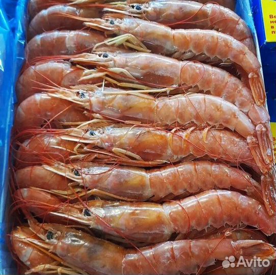 Рыба и морепродукты