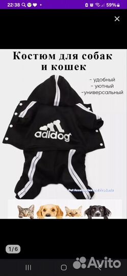 Спортивный костюм для собаки