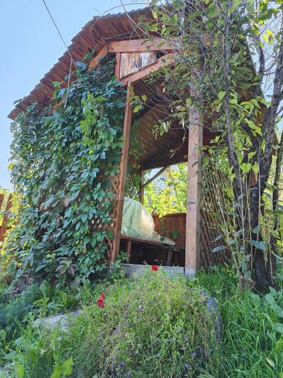 Дача 28,5 м² на участке 18 сот.