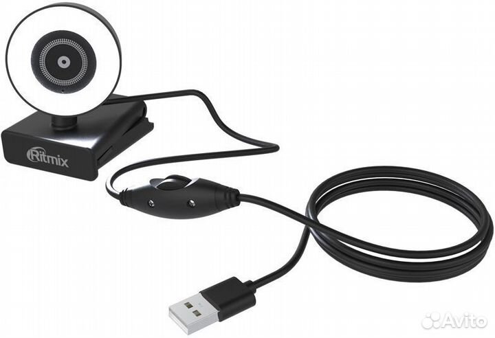 Ritmix RVC-250